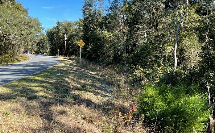 Pictures of Land property located at SE 932nd St, Old Town, FL 32680 for sales - image #1