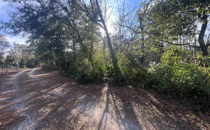 Pictures of Land property located at 000 NE 822nd St, Old Town, FL 32680 for sales - image #1