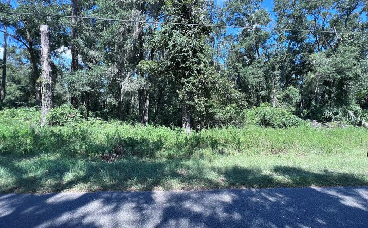 Pictures of Land property located at 0 NW 90th Ct, Fanning Springs, FL 32693 for sales - image #1