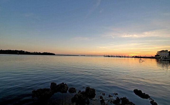 Pictures of Land property located at E Second St, Steinhatchee, FL 32359 for sales - image #1