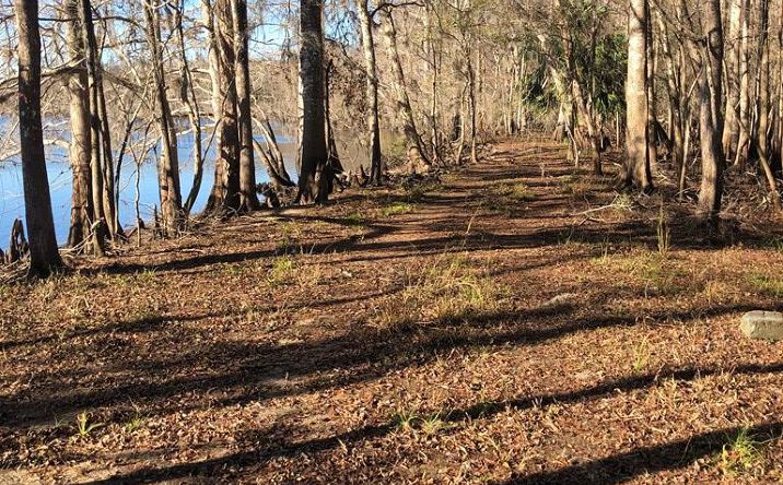 Pictures of Land property located at 311th Ave, Old Town, FL 32680 for sales - image #1