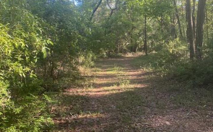 Pictures of Land property located at 768th St, Old Town, FL 32680 for sales - image #1