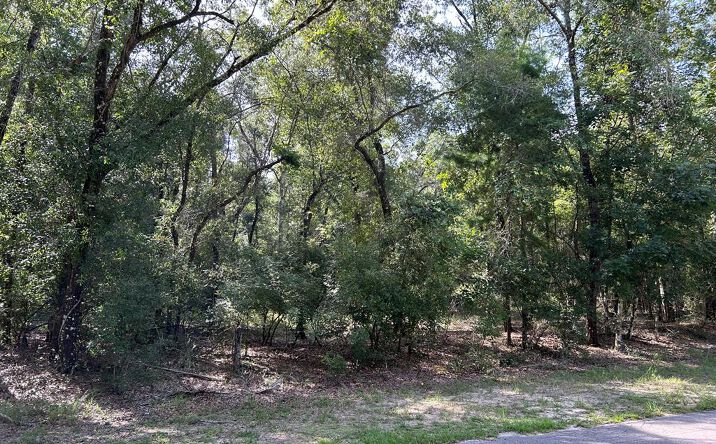 Pictures of Land property located at 00 NW 82nd Ter, Bell, FL 32619 for sales - image #1