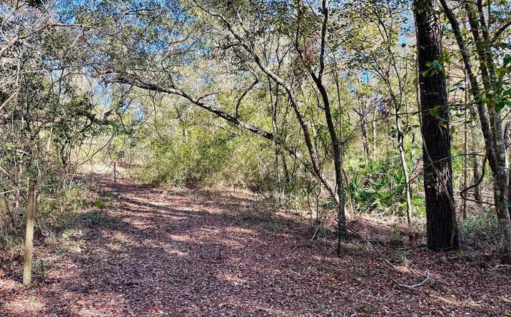Pictures of Land property located at 0 NE 229 Ln, Old Town, FL 32680 for sales - image #1
