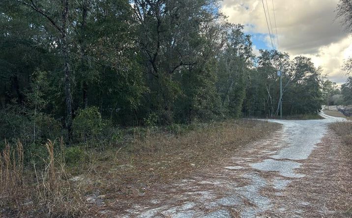 Pictures of Land property located at 73rd Ln, Bronson, FL 32621 for sales - image #1