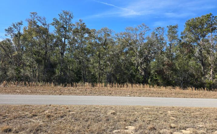 Pictures of Land property located at TBD NW 90th Ave, Chiefland, FL 32626 for sales - image #1