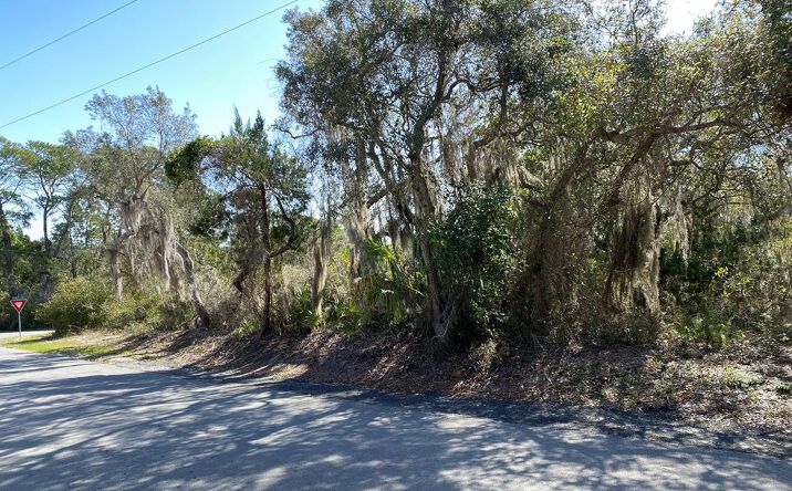 Pictures of Land property located at Lot 12 Susan St, Cedar Key, FL 32625 for sales - image #1
