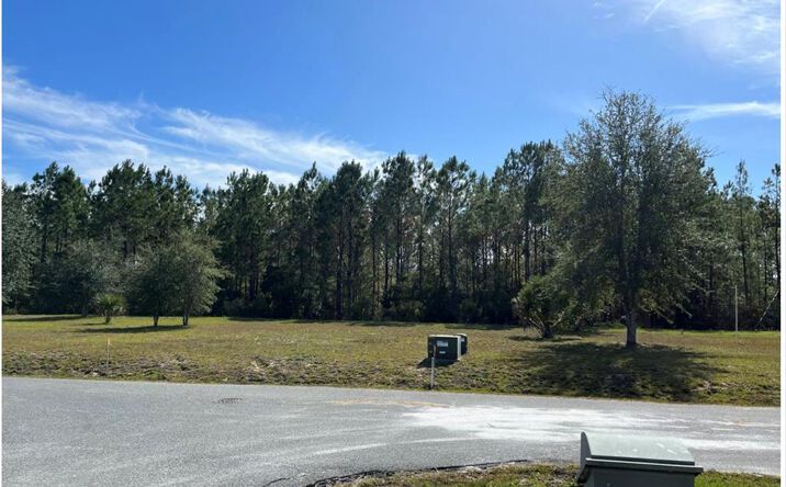 Pictures of Land property located at 869th Loop, Steinhatchee, FL 32359 for sales - image #1
