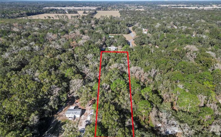 Pictures of Land property located at xx NW 170th St, Fanning Springs, FL 32693 for sales - image #1