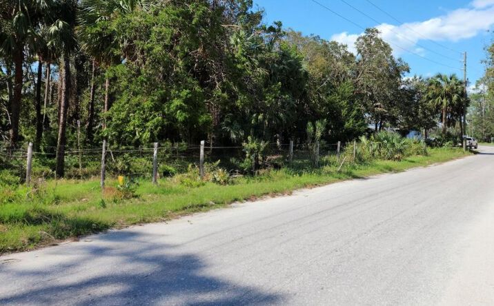 Pictures of Land property located at 0 SE 304th St, Cross City, FL 32628 for sales - image #1