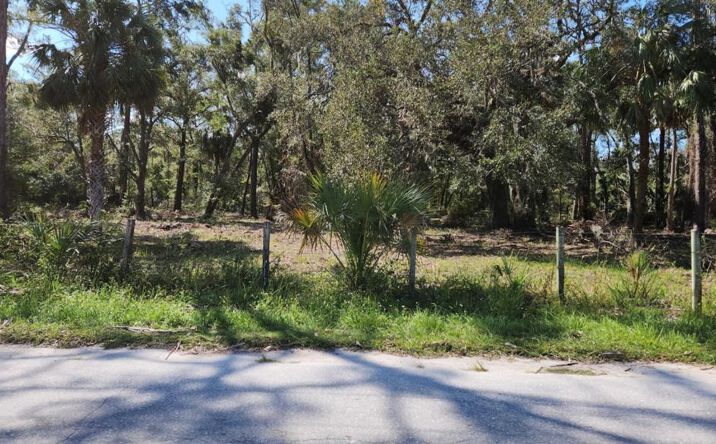 Pictures of Land property located at 0 SE 309th St, Cross City, FL 32628 for sales - image #1