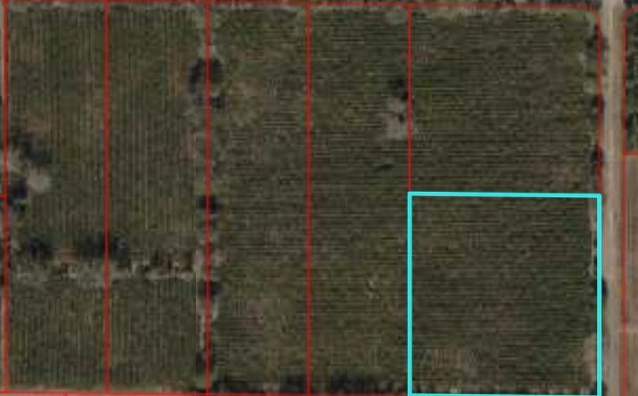 Pictures of Land property located at NW 140th Ave, Chiefland, FL 32626 for sales - image #1