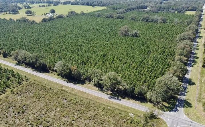 Pictures of Land property located at 6301 NW 140th St, Chiefland, FL 32626 for sales - image #1