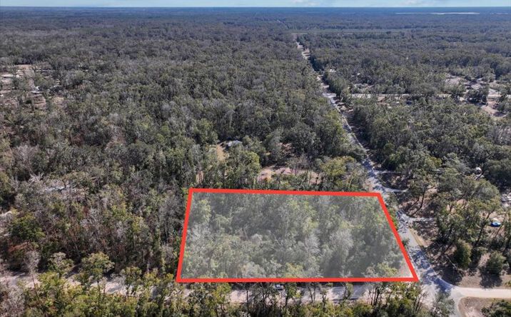 Pictures of Land property located at 1975 NE 173rd Ave, Old Town, FL 32680 for sales - image #1