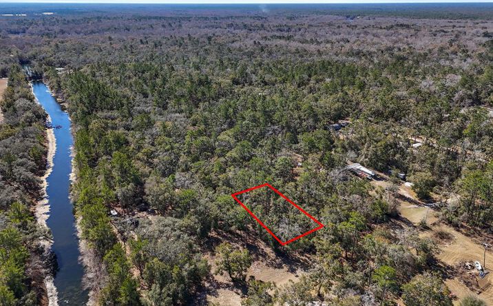 Pictures of Land property located at Lot 6 SW 13th Ln, Bell, FL 32619 for sales - image #1