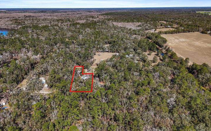 Pictures of Land property located at 000 SW 13th Ln, Bell, FL 32619 for sales - image #1