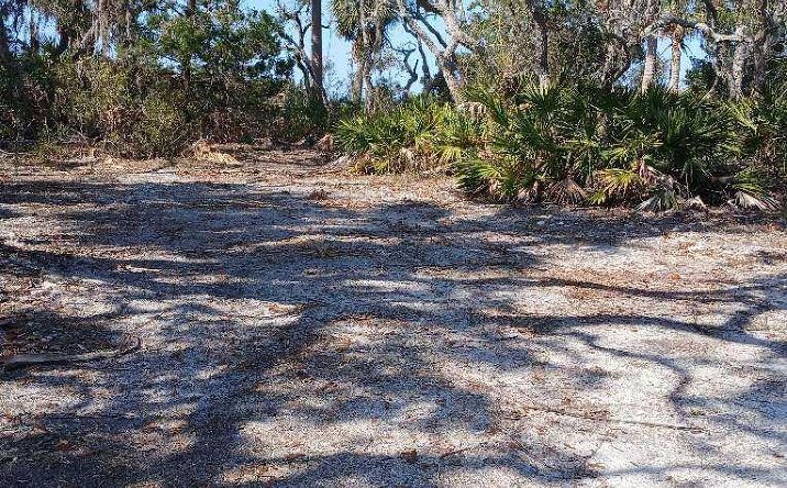Pictures of Land property located at Rye Key Dr, Cedar Key, FL 32625 for sales - image #1