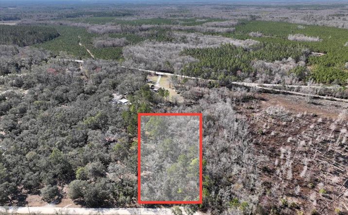 Pictures of Land property located at 0 NE 295 Lane, Cross City, FL 32628 for sales - image #1