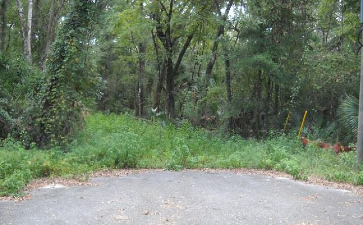 Pictures of Land property located at 580 NE 597th St, Old Town, FL 32680 for sales - image #1