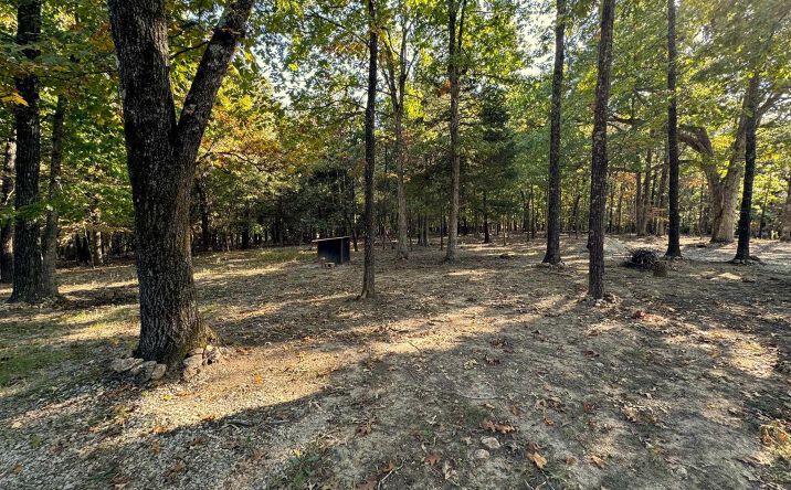 Pictures of Land property located at 6990 Promise Land Rd, Mountain Home, AR 72653 for sales - image #1