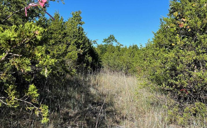 Pictures of Land property located at Tract 43,44,45 CR 1419, Mountain Home, AR 72653 for sales - image #1