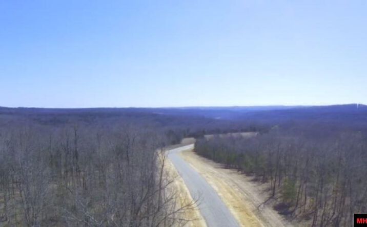 Pictures of Land property located at Tract 7 Hwy 201 North, Clarkridge, AR 72623 for sales - image #1