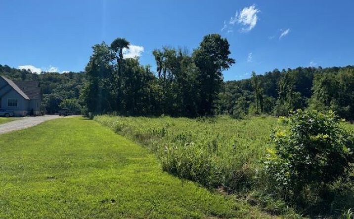 Pictures of Land property located at 002-11244-042 Travis Terrace, Norfork, AR 72658 for sales - image #1
