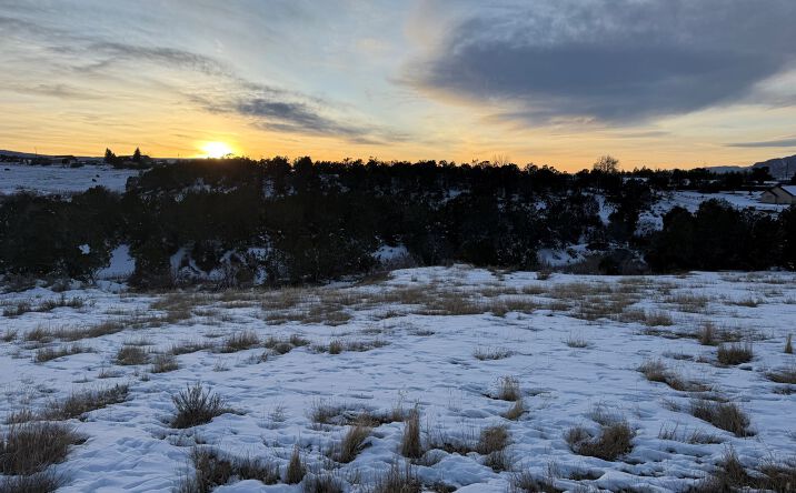 Pictures of Land property located at 14495 Scott Loop, Collbran, CO 81624 for sales - image #1