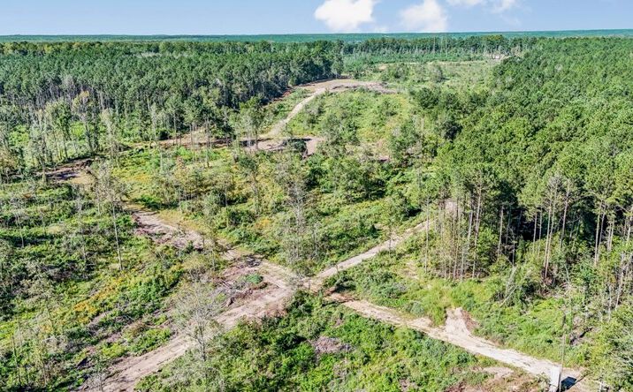 Pictures of Land property located at 1998 Berwick Cassels Rd, Liberty, MS 39645 for sales - image #1