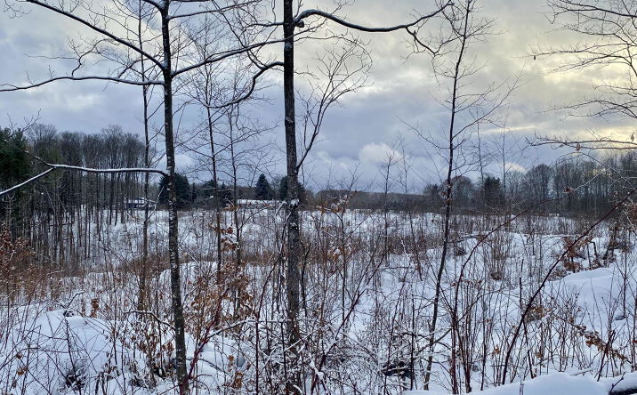 Pictures of Land property located at 15.6 acres Kassuba Road, Gaylord, MI 49735 for sales - image #1