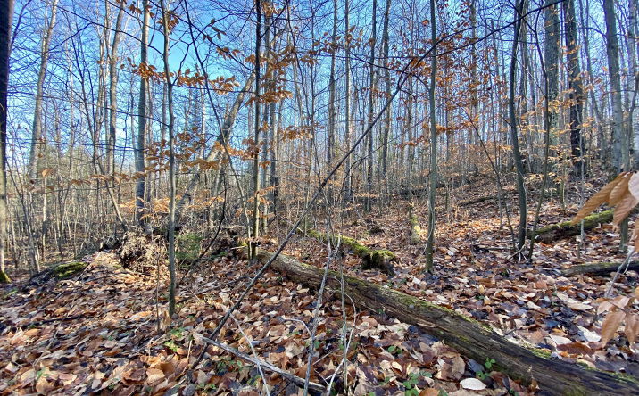 Pictures of Land property located at Lots 36-39 Chemin De La Montagne, Wolverine, MI 49799 for sales - image #1