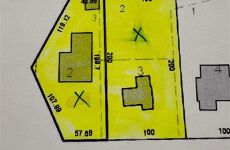 21769748