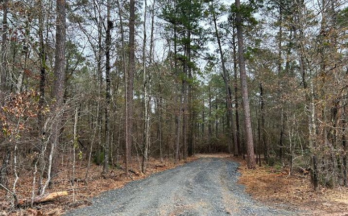 Boggy Rd, Waskom, TX 75692 | Crexi.com
