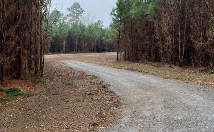 Boggy Rd, Waskom, TX 75692 | Crexi.com
