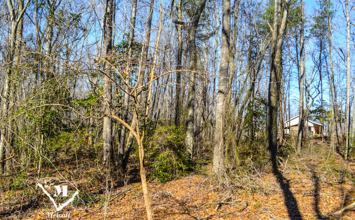 Pictures of Land property located at Suber Drive, Wellford, SC 29385 for sales - image #1