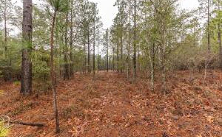 Pictures of Land property located at Lot 129 Monte Christo Court, Aiken, SC 29803 for sales - image #1