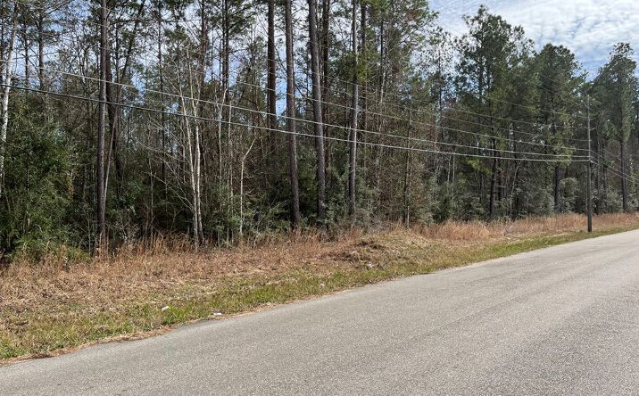 image of property at 3731 HIGHWAY 43 N Picayune MS 39466-9158
