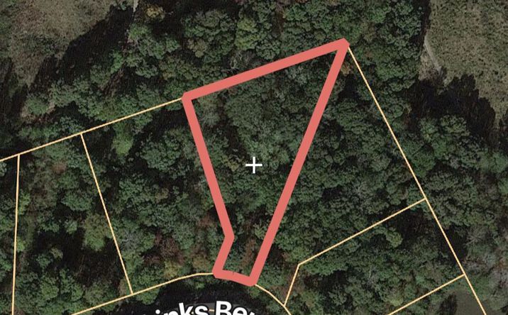 Pictures of Land, Multifamily property located at lot 44 Links Bend Way, Springville, TN 38242 for sales - image #1