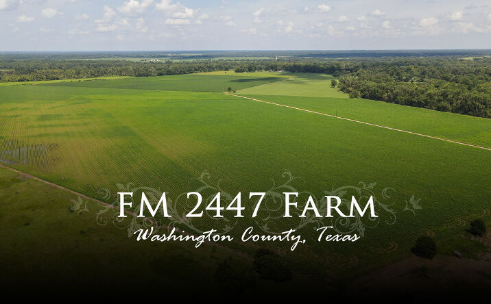 Pictures of Land property located at FM 2447, Chappell Hill, TX 77426 for sales - image #1