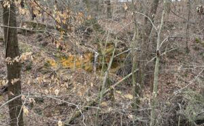 Pictures of Land property located at +Or- 3 Ac Old South Road, Beech Island, SC 29842 for sales - image #1