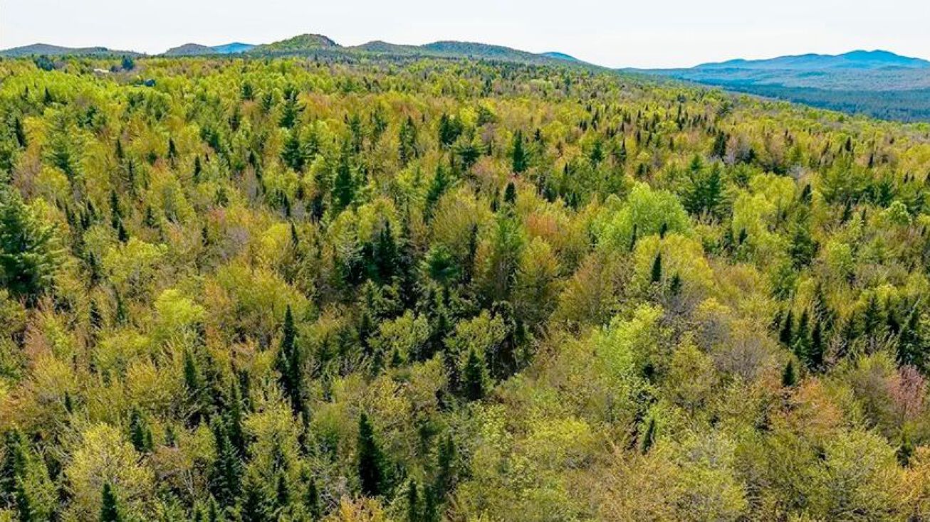 Pictures of Note/Loan property located at Brandy Brook Rd, Ellenburg Center, NY 12934 for sales - image #1