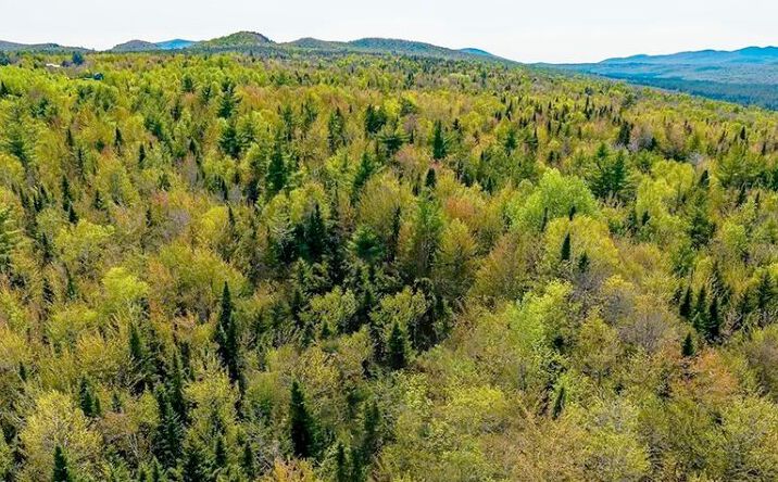 Pictures of Note/Loan property located at Brandy Brook Rd, Ellenburg Center, NY 12934 for sales - image #1