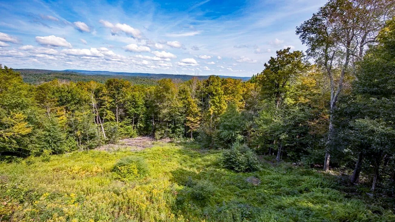 Pictures of Note/Loan property located at Moberg Rd, Becket, MA 01223 for sales - image #1