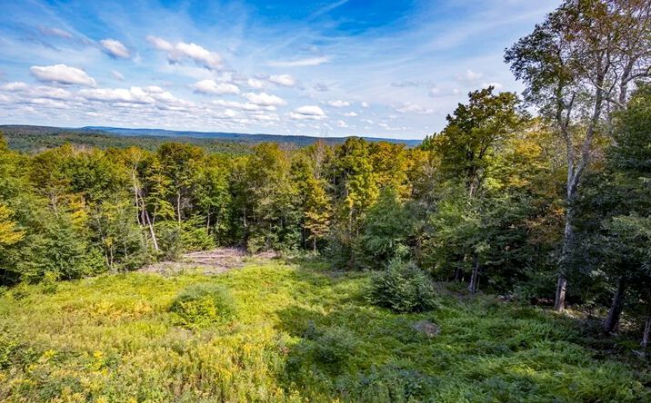 Pictures of Note/Loan property located at Moberg Rd, Becket, MA 01223 for sales - image #1