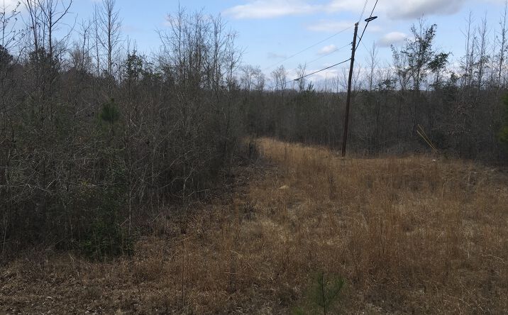 Pictures of Land property located at Dennard Hardy Rd, undefined, GA 31031 for sales - image #1