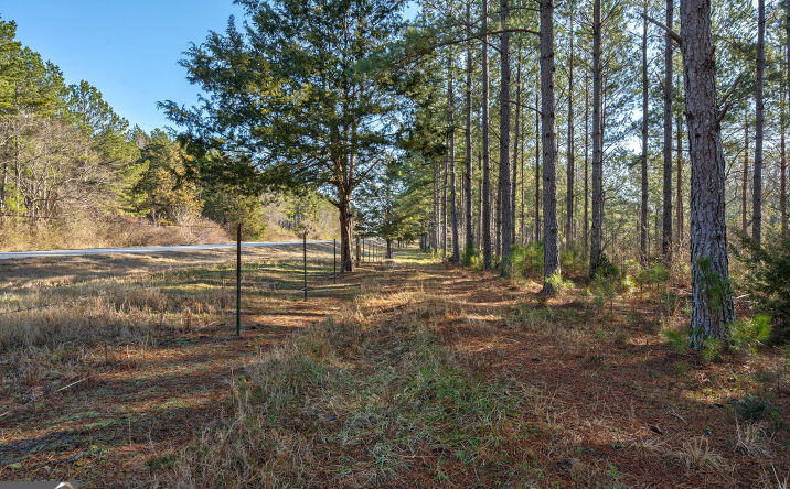 Pictures of Land property located at 0 Hwy 77, Lexington, GA 30648 for sales - image #1
