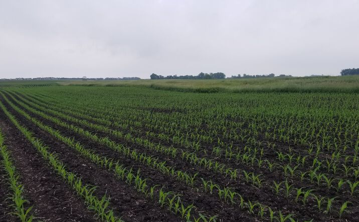 Pictures of Land property located at 0 330th Ave/270th St, Westbrook, MN 56183 for sales - image #1