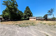 21813023