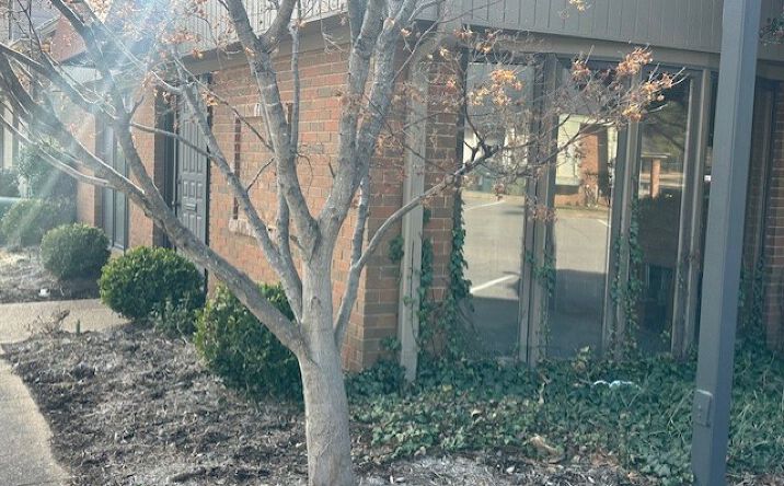 Pictures of Office property located at 6244 Poplar Ave, Memphis, TN 38119 for sales - image #1