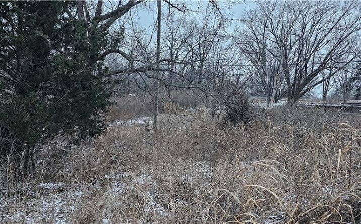 Pictures of Land property located at 600 S Crisp Avenue, Independence, MO 64054 for sales - image #1